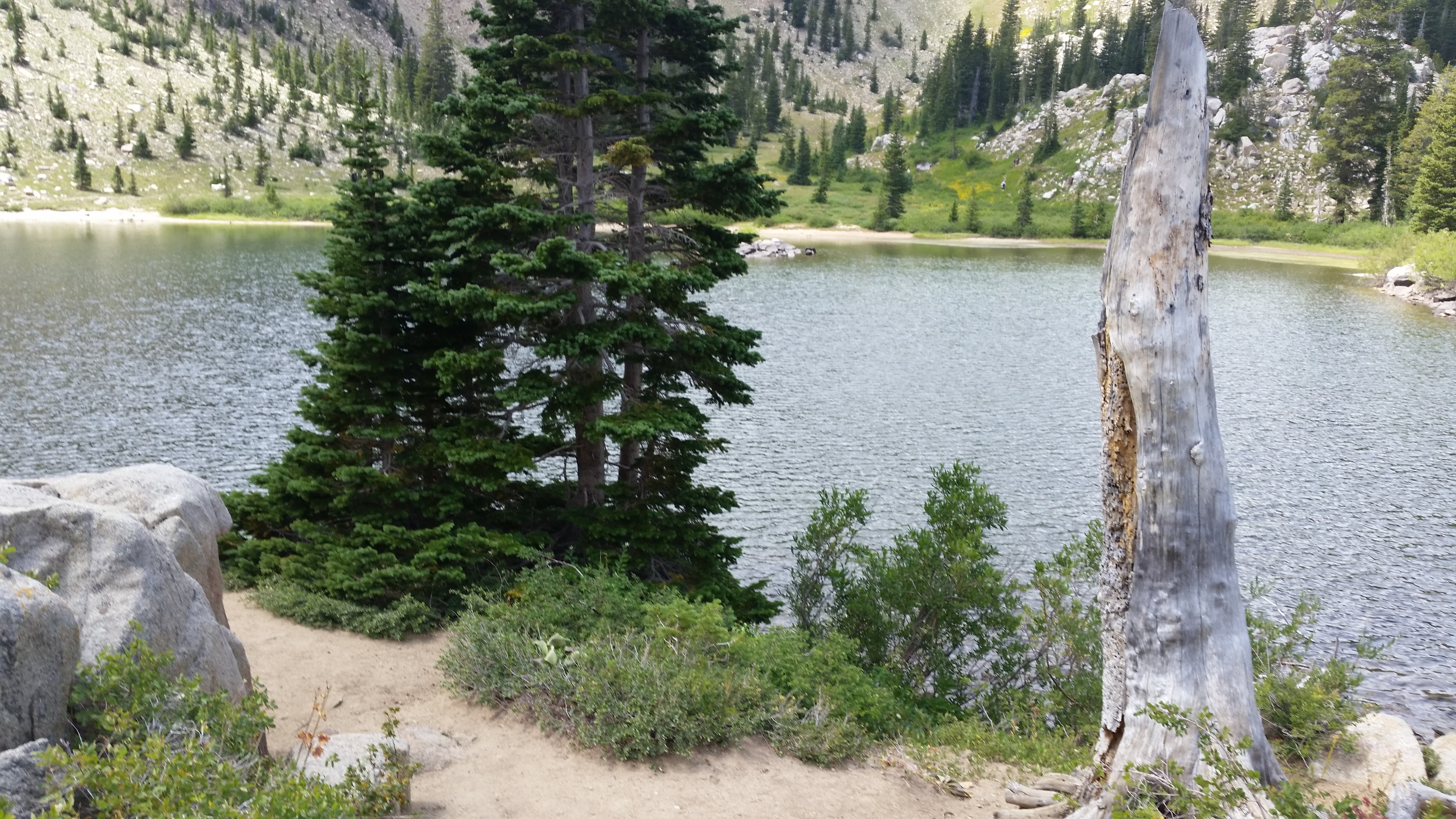 Snowbird – Utah · 2016